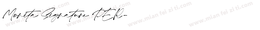 Monita Signature PER字体转换